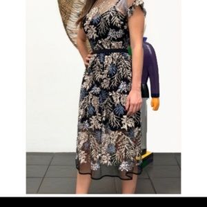 NWOT Aqua lace mesh dress size small!